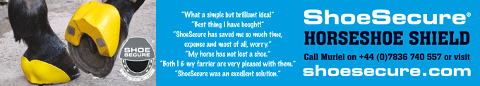 Shoesecure Demo